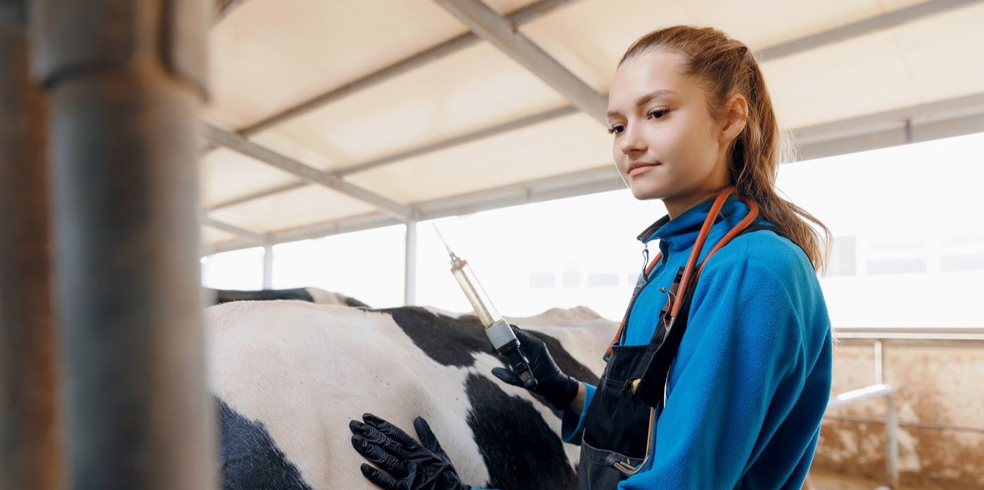 BBSRC/Defra Call for Next Generation Veterinary Vaccine Technology Platforms