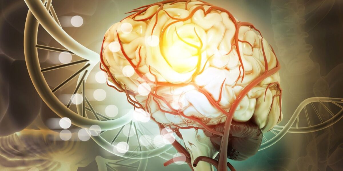 First 2026 Deadline Announced for Three Alzheimer's Association Funding ...